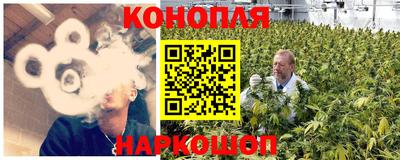 шишки Волгодонск