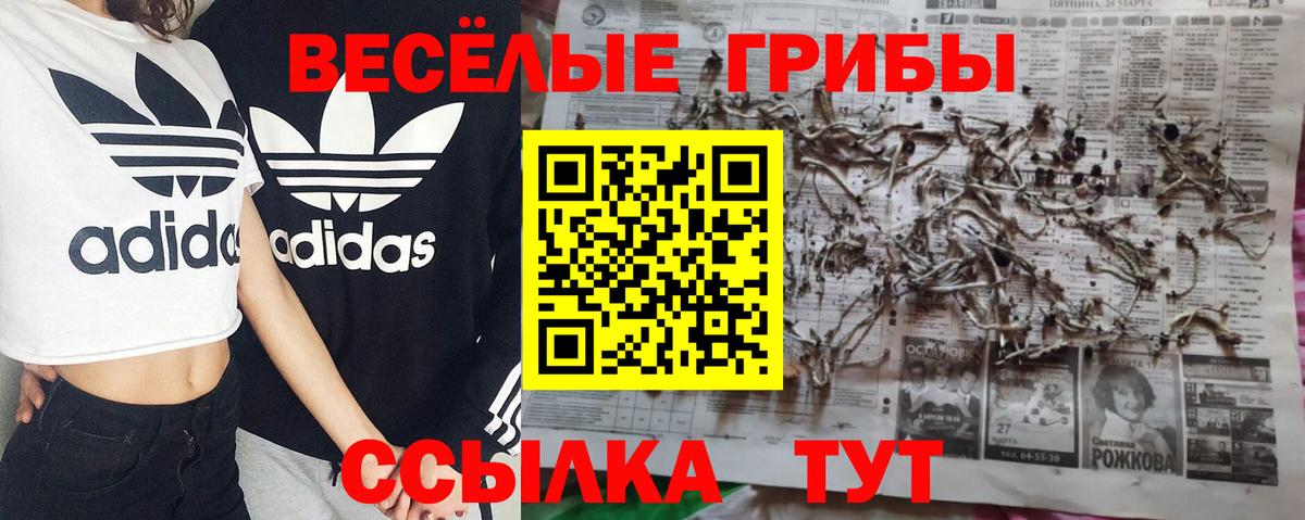 Нижнеудинск  наркошоп  Вход с VPN  Псилоцибиновые грибы Psilocybe 