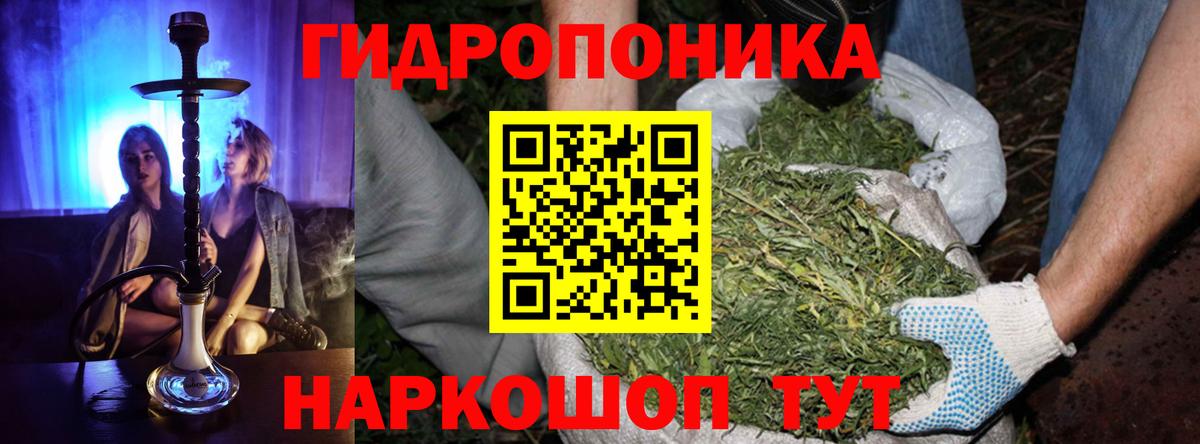 Нижнеудинск  Каннабис конопля  Вход с VPN  Бошки Шишки план 